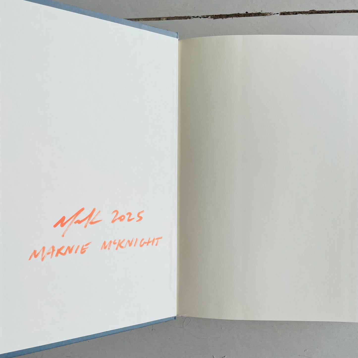 The Burgess Boys - Painted Hardback