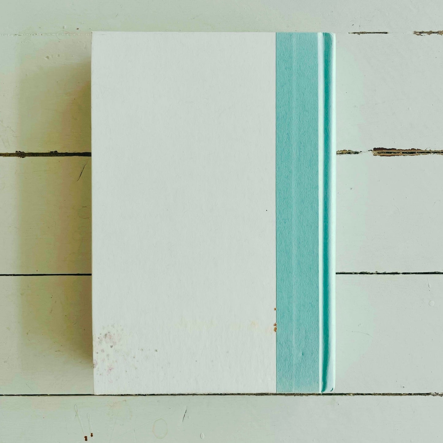 The Last Girls - Painted Hardback