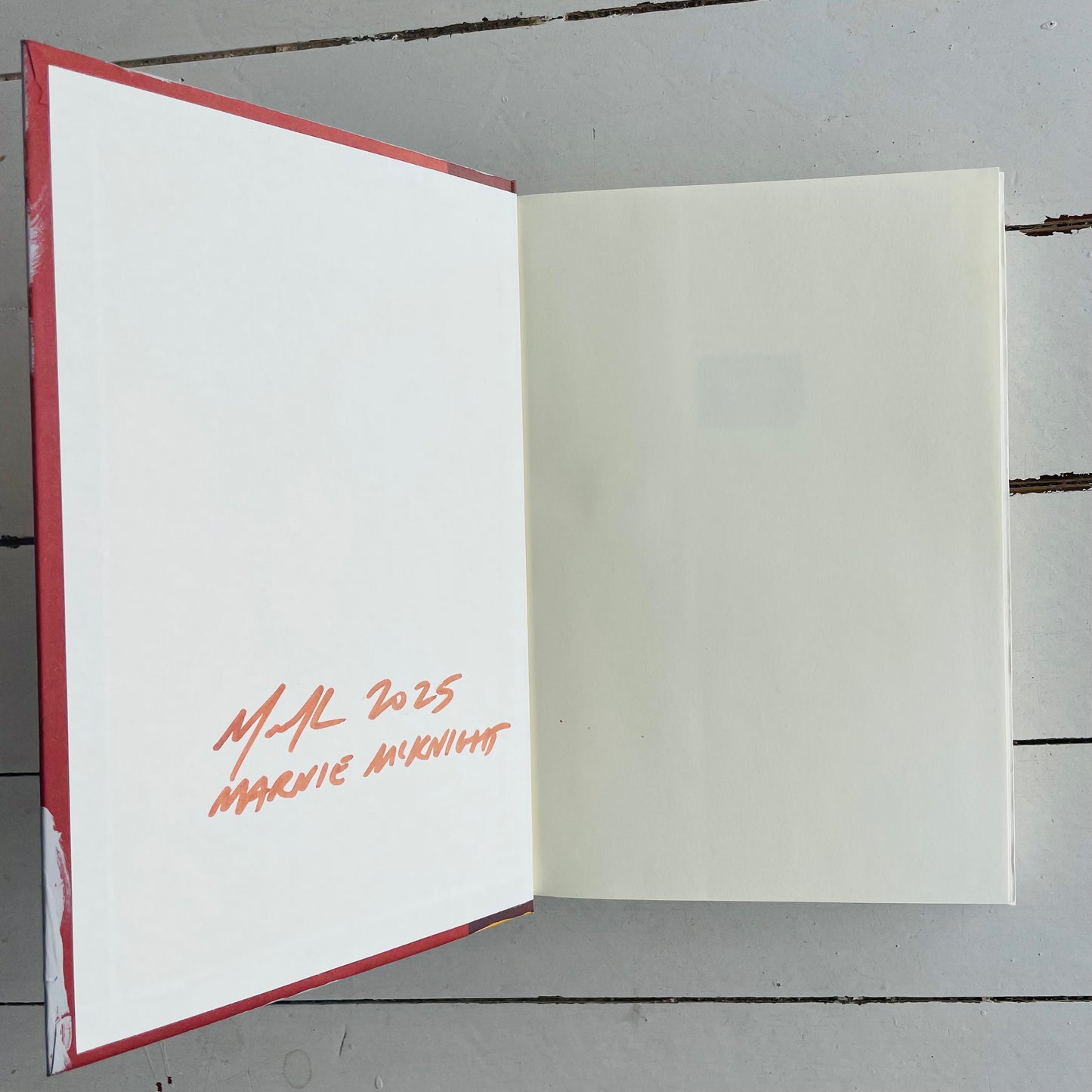 Amnesia - Painted Hardback