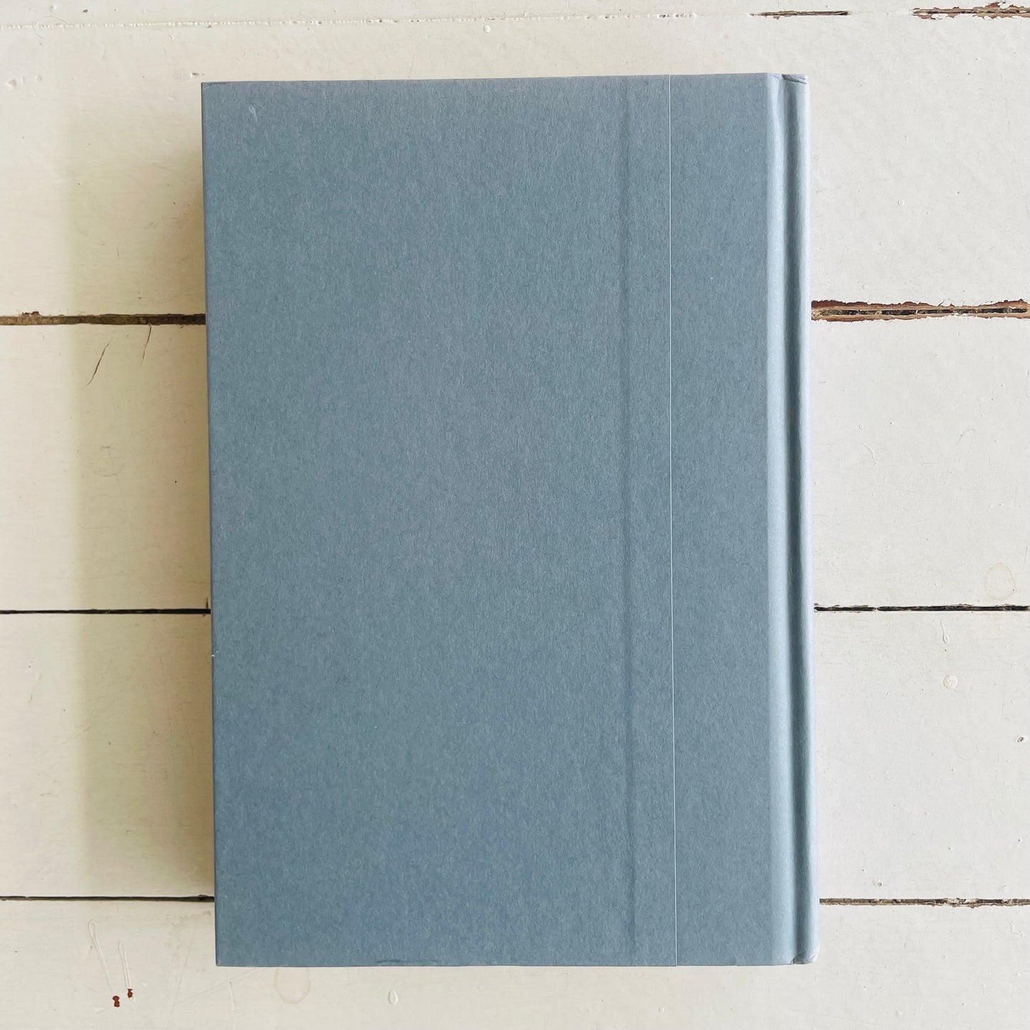 The Burgess Boys - Painted Hardback