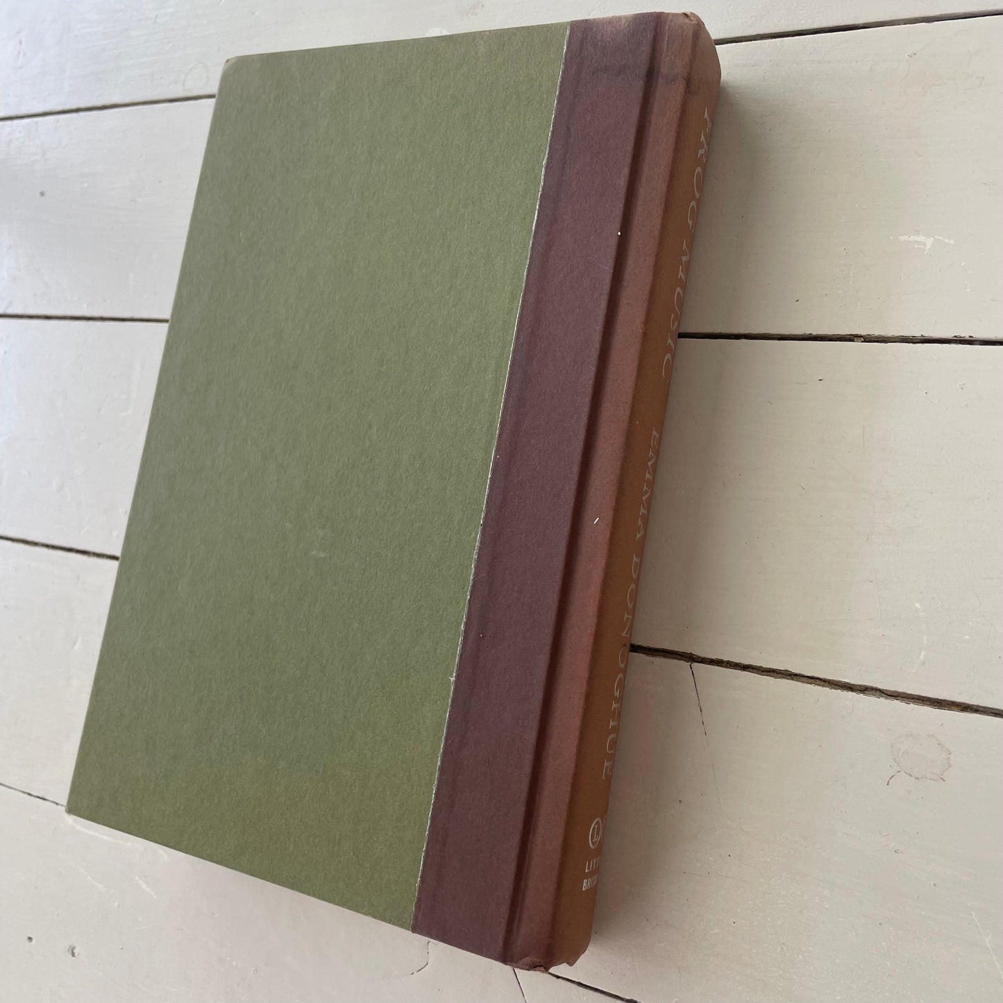 Frog Music - Painted Hardback